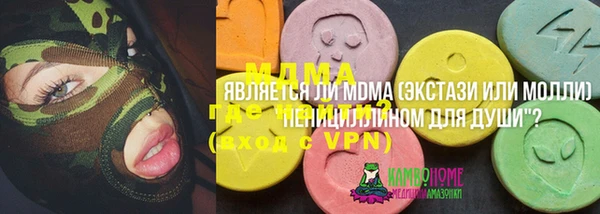 молекула духа Арсеньев