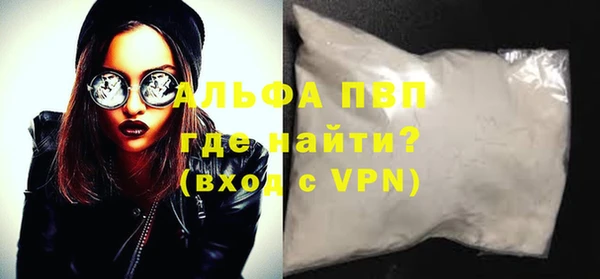 молекула духа Арсеньев