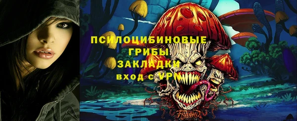 прущие крисы Балахна