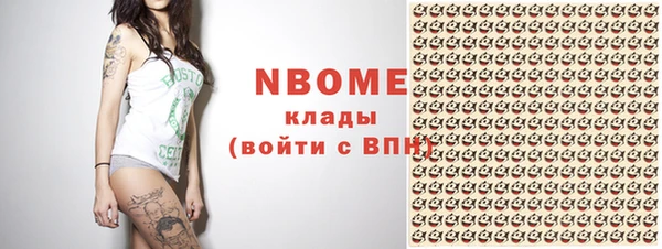 индика Баксан