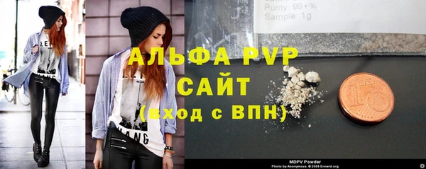 молекула духа Арсеньев
