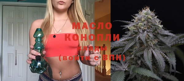молекула духа Арсеньев