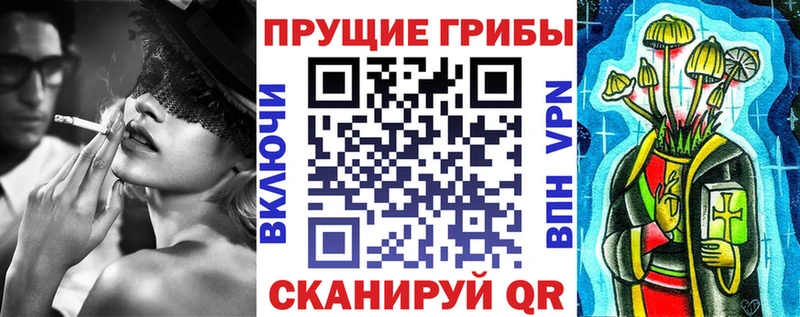 Купить где  Тосно  Галлюциногенные грибы мицелий 