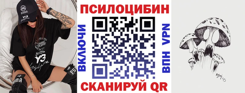 Псилоцибиновые грибы Psilocybine cubensis Тосно